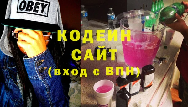 индика Коряжма