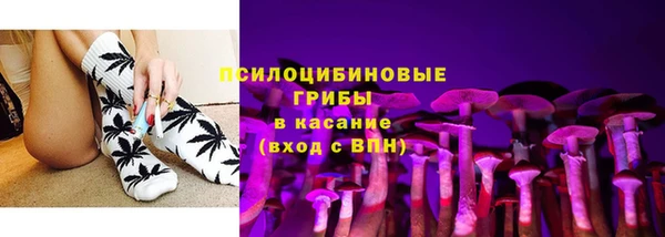 индика Коряжма