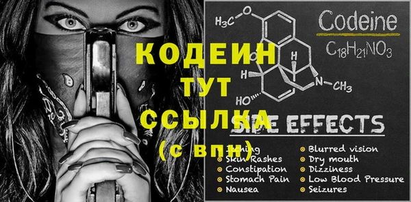 индика Коряжма