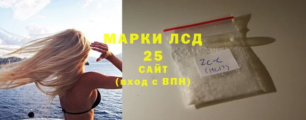 крисы Краснослободск