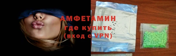 индика Коряжма