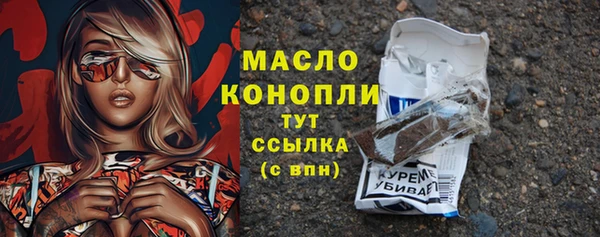 индика Коряжма