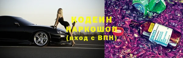 крисы Краснослободск
