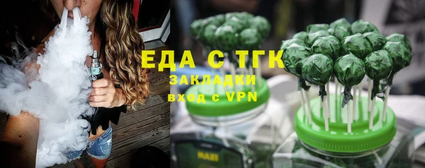 индика Коряжма