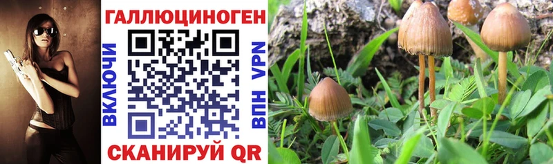 Псилоцибиновые грибы прущие грибы  Купить закладки  Нарткала 